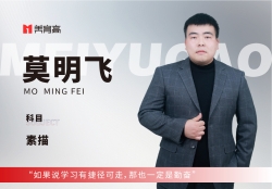 美(měi)育高(gāo)骨幹教師(shī)-莫明(míng)飛(fēi)